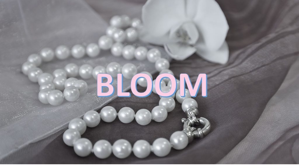 BLOOM(ブルーム)ってどんなアクセサリーブランドなの？【お花や恐竜の誕生石ネックレスも販売しています】 本当の誕生石
